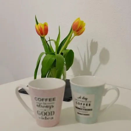 Apartamento Filarmonico12 Verona