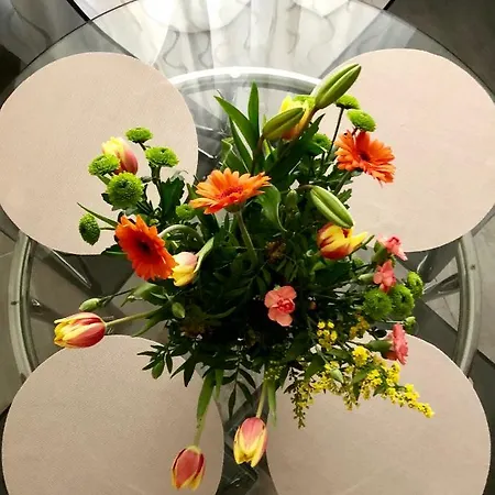 Filarmonico12 Lejlighed *