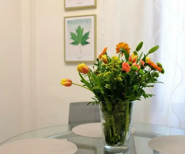 Apartamento Filarmonico12